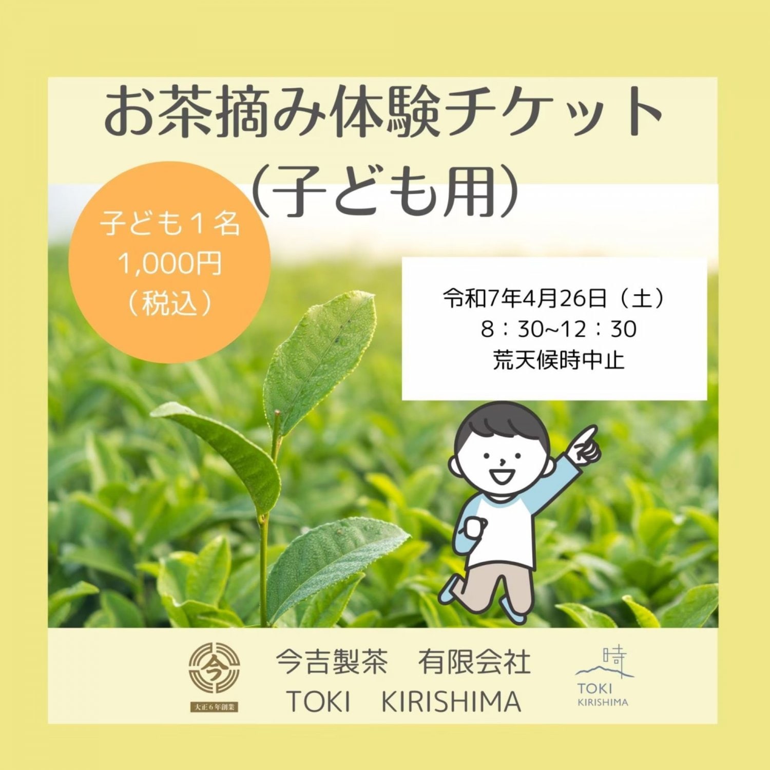 今吉製茶お茶摘み体験チケット