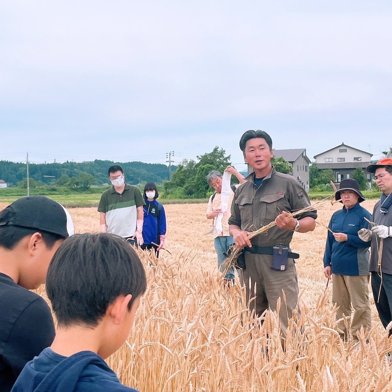 農家の石橋さんから収穫方法の説明