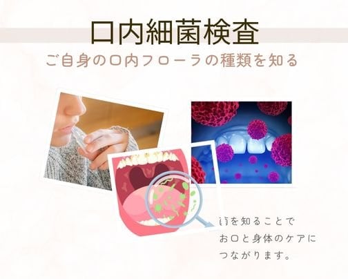 口内細菌検査