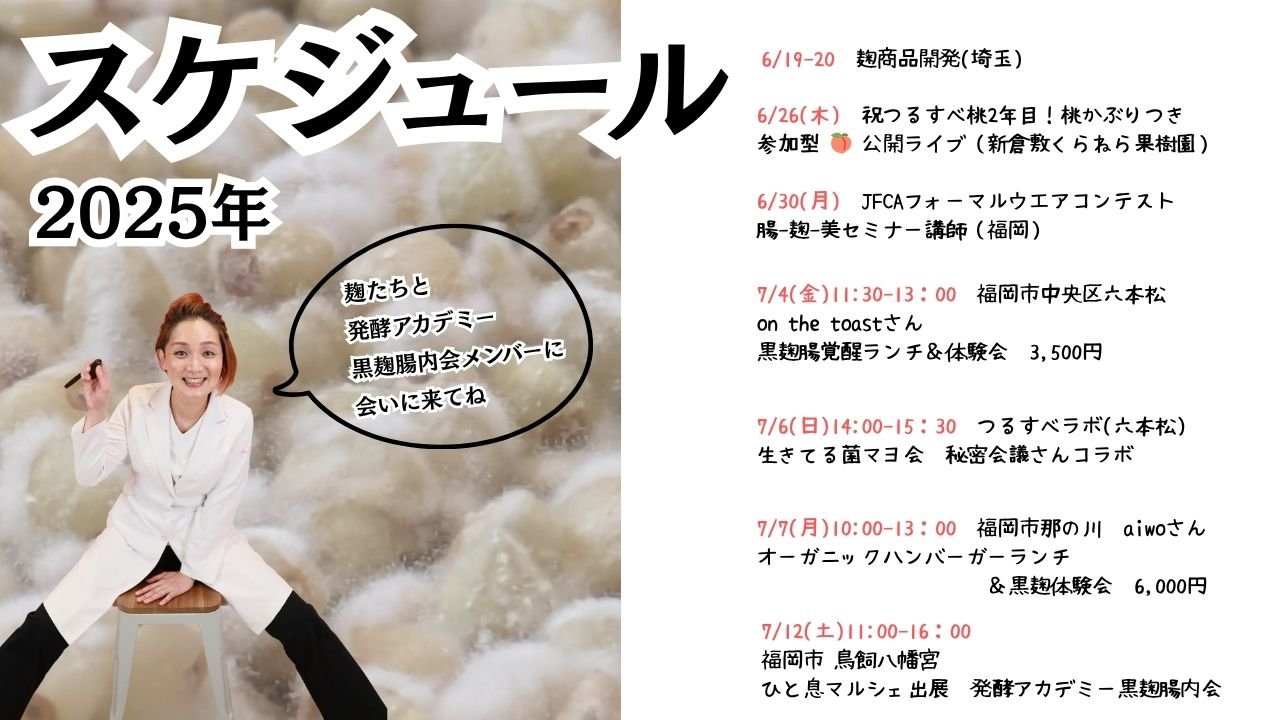 スケジュール