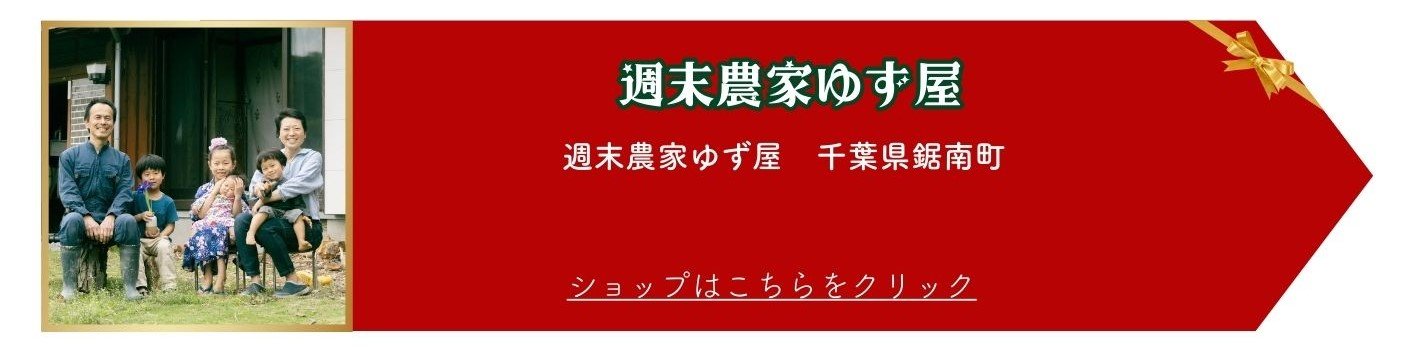 イルミライ★INZAIクリスマスマーケット