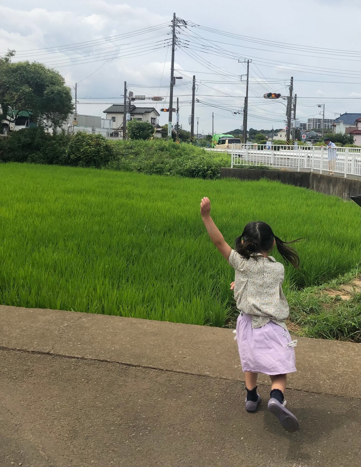 海老名市の田んぼ