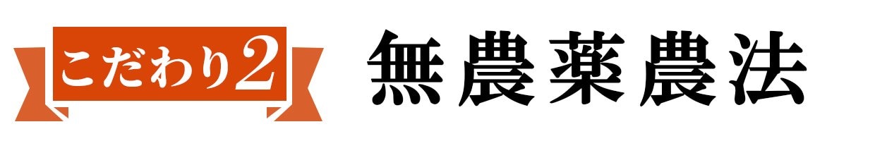 無農薬農法