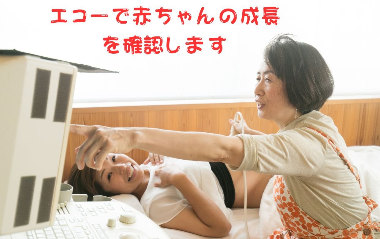 エコーで赤ちゃんを測定