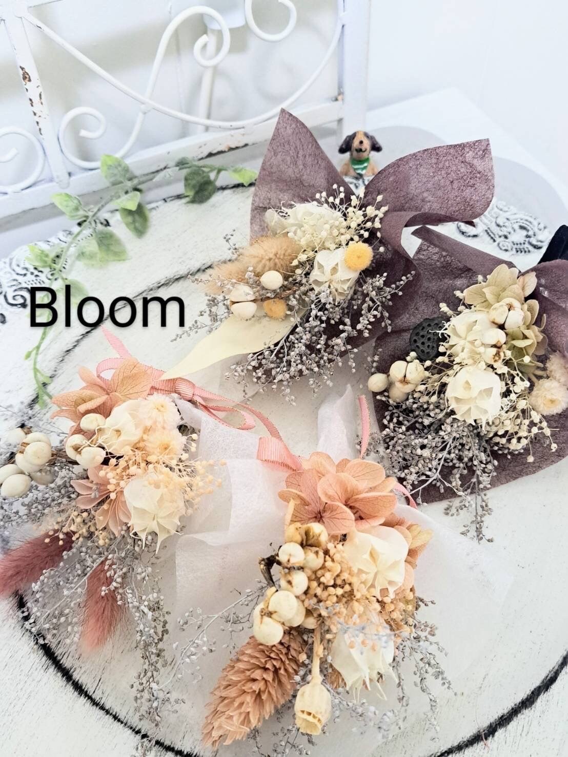 bloom