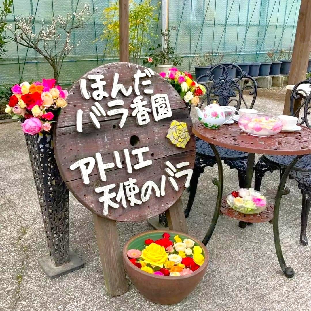 おもてなしテーブル