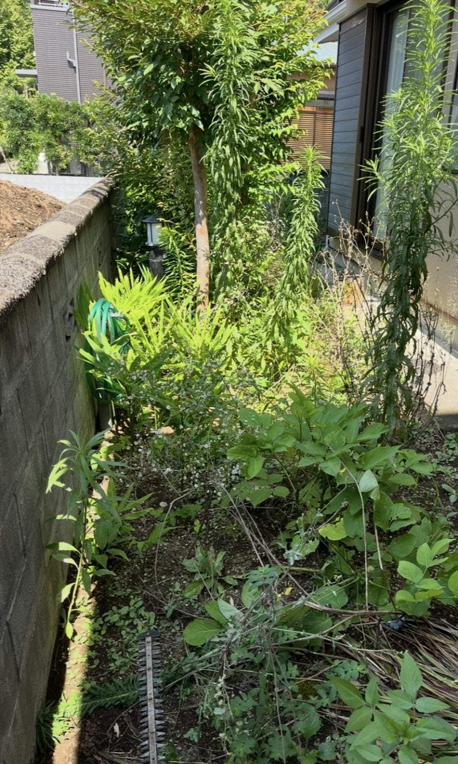 南足柄市の庭の草刈り