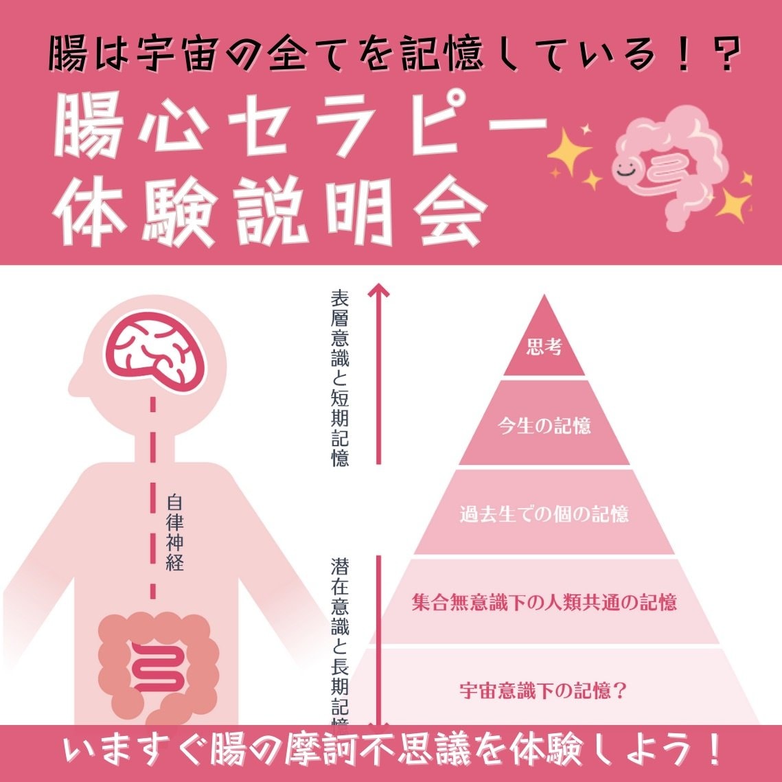 腸心セラピー体験説明会