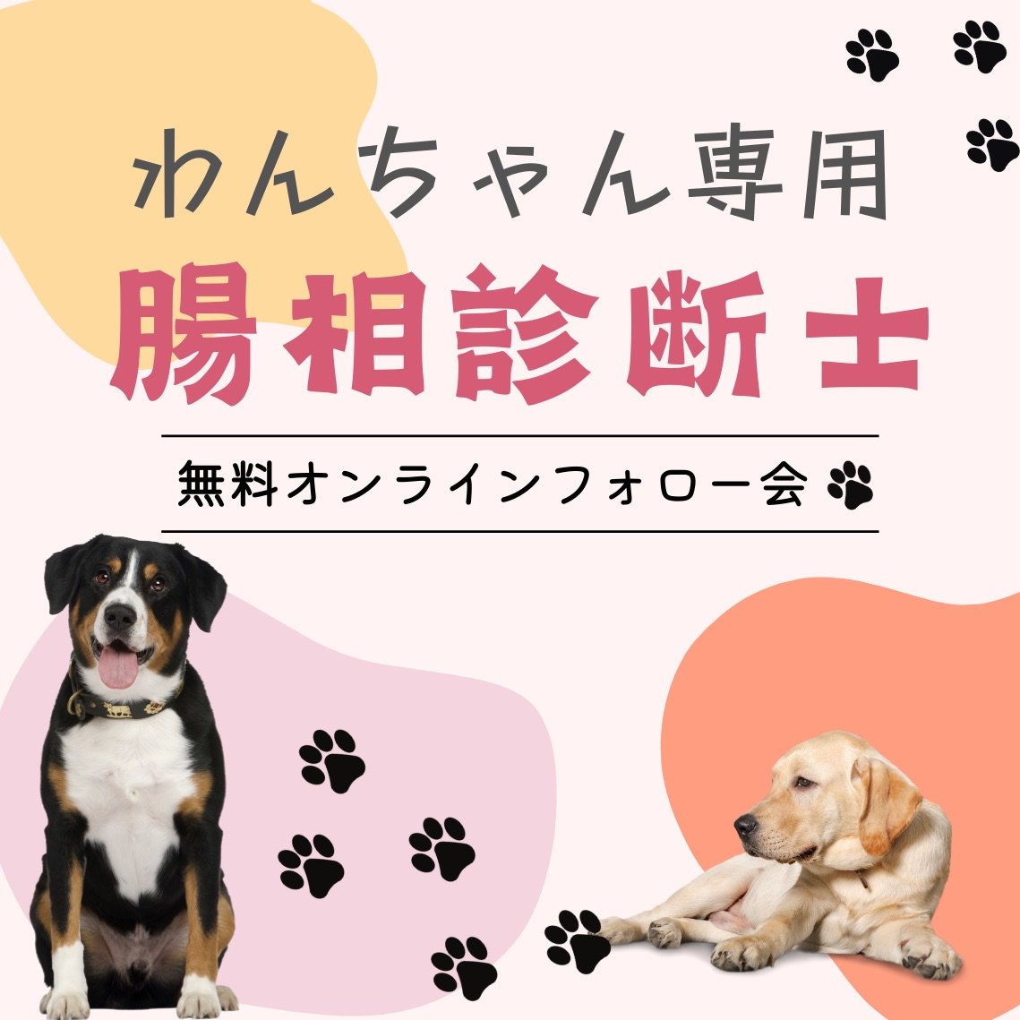 ワンコ腸相診断士向けフォロー会