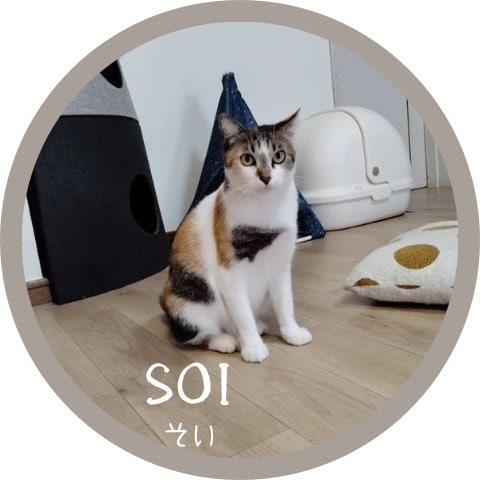 ソイ里親募集中