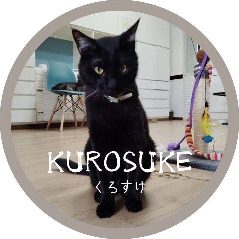 くろすけトライアル中