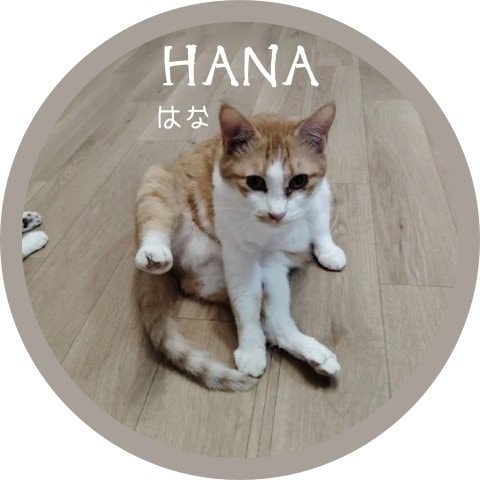 りん里親募集中