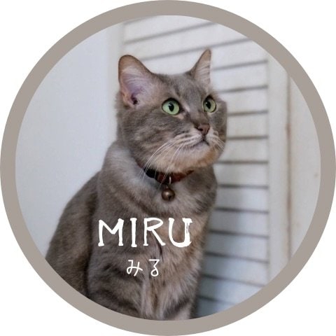 ミル里親募集中