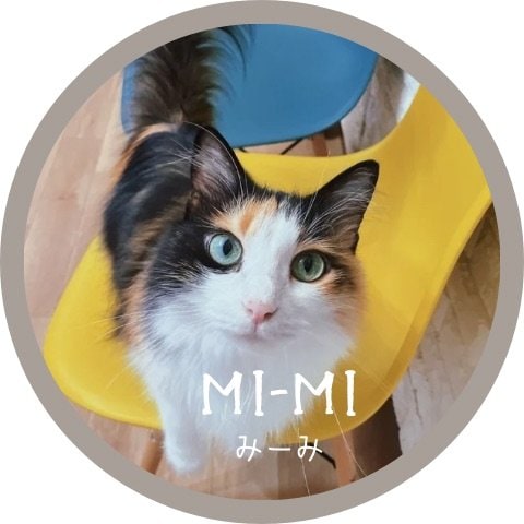 みーみ里親募集中