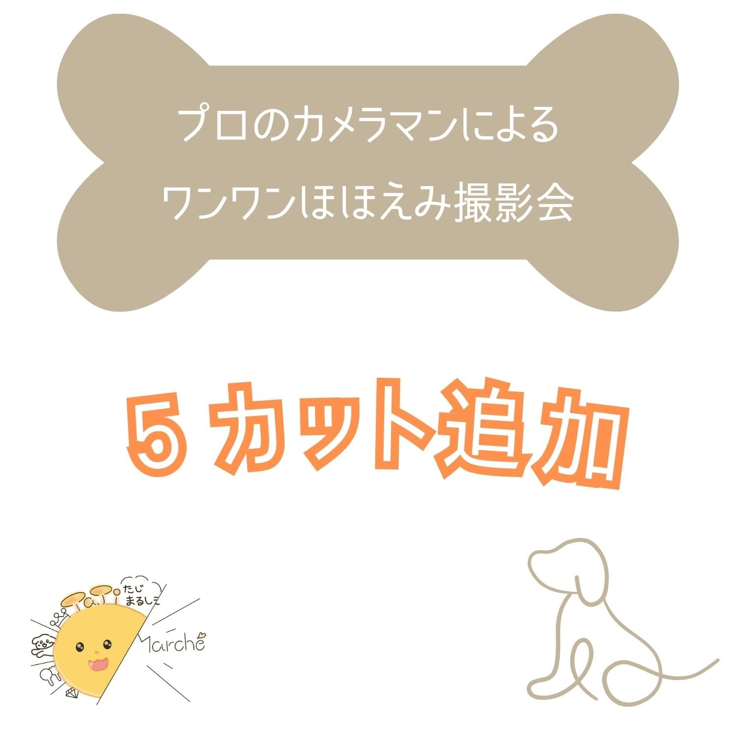 5カット追加チケット