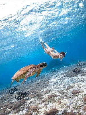 亀と泳ぐ感動体験!沖縄|宮古島の海で、心ほどけるスキンダイビングをあなたに。