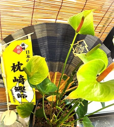◎夏季休暇のお知らせ◎2024年8月◎