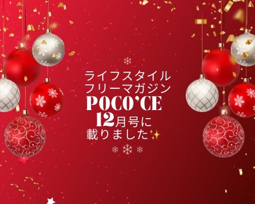 サンフラワーがPoco'ce（ポコチェ）12月号に載りました♬