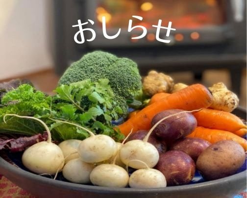 【試食会】  『自然栽培の野菜を味わう』