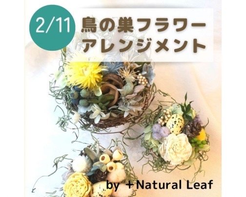 かしわざきまるっと2023 出店者様のご案内 2月11日(土)/12日(日)