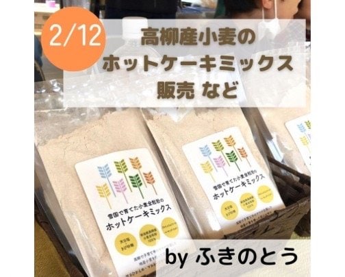 かしわざきまるっと2023　出店者様のご案内　2月11日(土)/12日(日)