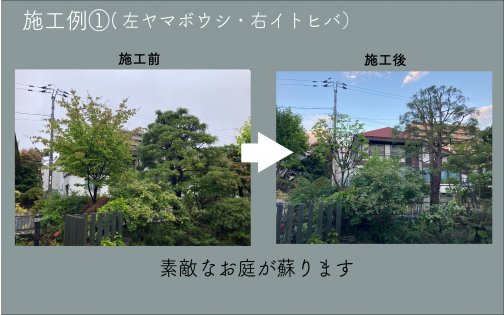 剪定の季節