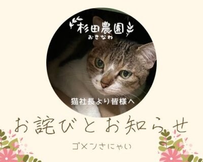 猫社長からお詫びとお知らせ