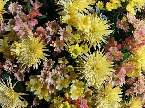 2025年11月のお休み