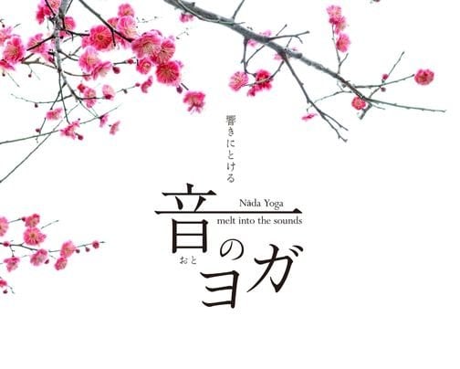 2026/02/22響きにとける｢音のヨガ」@たまプラーザ3丁目カフェ