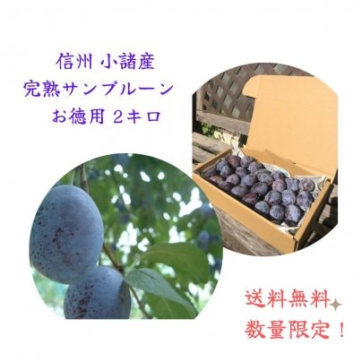 信州 小諸産サンプルーン　お徳用 2kg