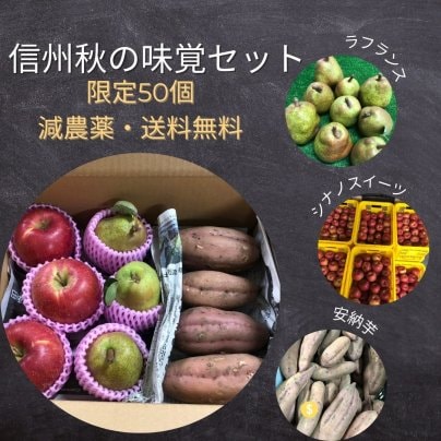 限定50個！　信州秋の味覚3点セット　減農薬・送料無料