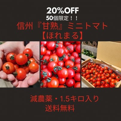 20%off! 限定50個！信州『甘熟』 ミニトマト　ほれまる