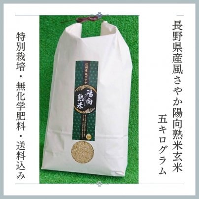 予約販売開始 9/12〜30まで。新米 長野県発 特別栽培・化学肥料不使用の玄米『風さやか陽向熟米5kg』送料込み