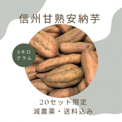 20セット限定！信州甘熟安納芋　