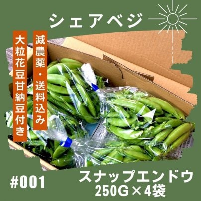 シェアベジ　減農薬　信州産スナップエンドウ　259g✖︎4袋　大粒花豆甘納豆付き!