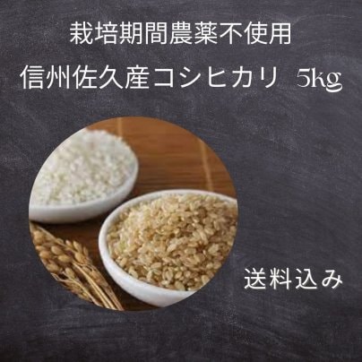 【数量限定！〜6/30 (日）ご予約受付｜7/8(月)発送開始】送料込み！ 令和5年産　『信州佐久産コシヒカリ 5kg 』