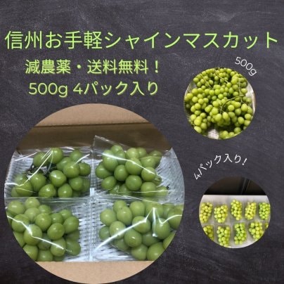 産直 信州お手軽シャインマスカット　減農薬・送料込み！500g 4パック入り