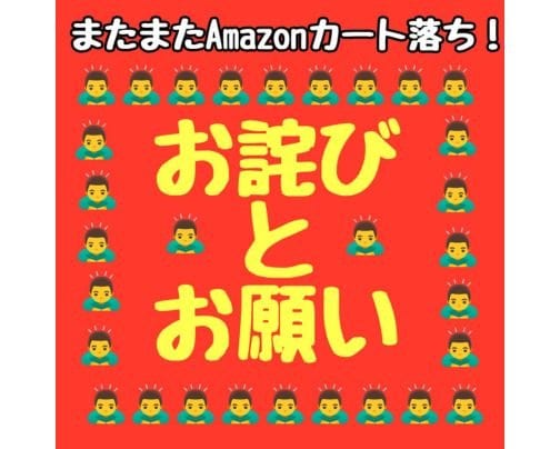 【Amazonカート落ちなので】