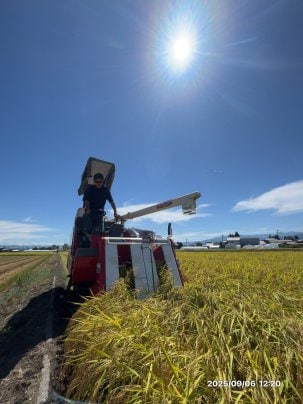 8月末、令和7年産の稲刈り始める！
