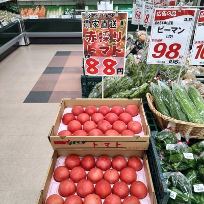 庄原市高野町からトマトを直接仕入れてきました！週末限定で販売します。