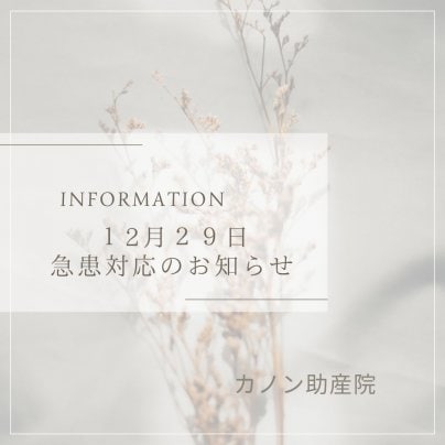 12月29日急患当番