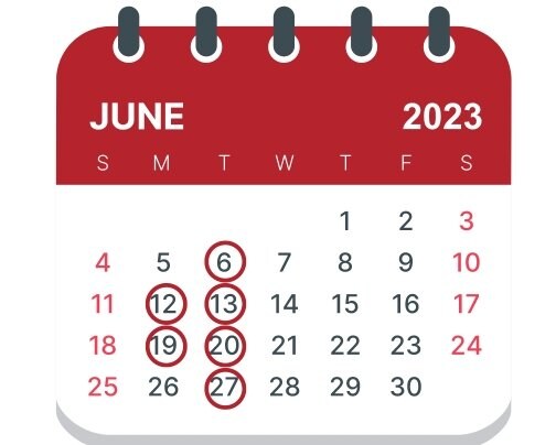 6月のスケジュール（赤丸が定休日）