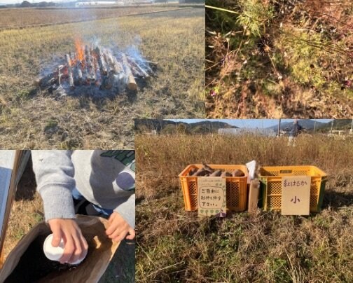12月９日(土) 焼き芋のふるまいとコスモスの種取り体験会を行いました。