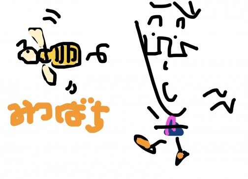 憲法