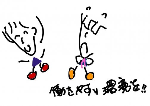 女性がリーダーだと