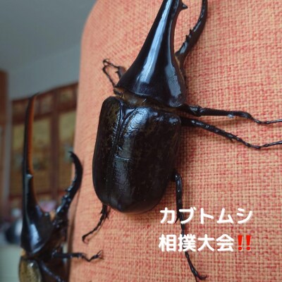 いよいよ💓今週に迫る❗