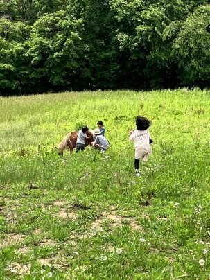 🔶今日の🌿フリーday