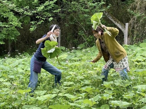 きのうは、みんなで🌿よもぎ餅作り〜ふき取り (by ポニー牧場)