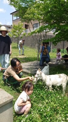 ☆仙台に、すもも🐐と🐐バニラと