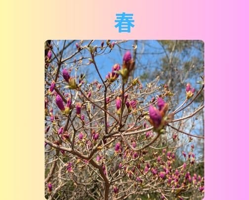 春ですね!!